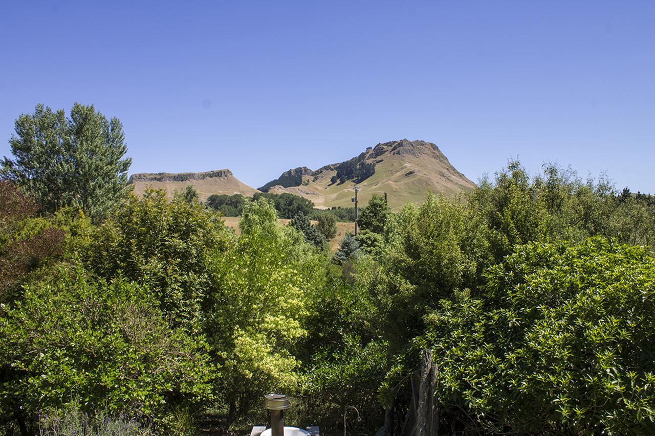 Secluded Haven Near Bush, Beach & Havelock North Villa Exterior photo