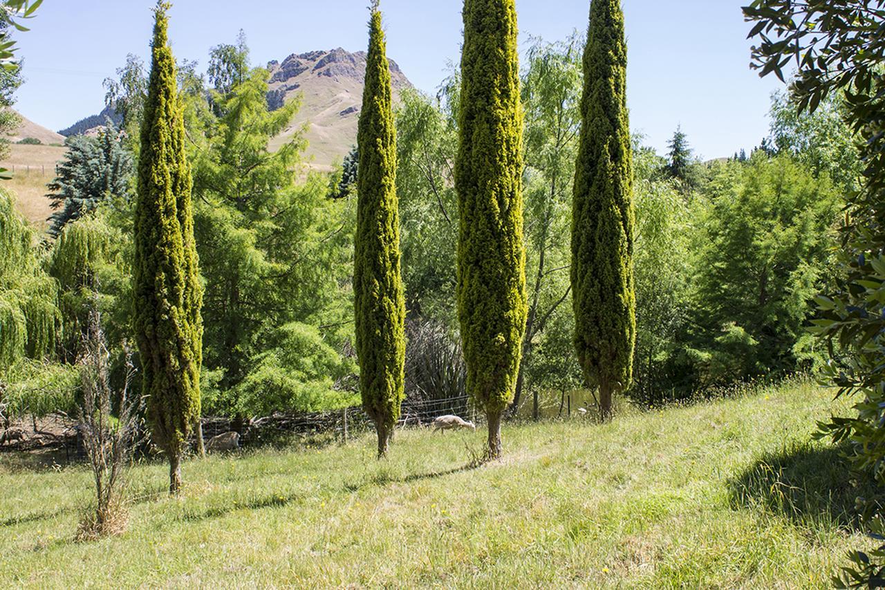 Secluded Haven Near Bush, Beach & Havelock North Villa Exterior photo